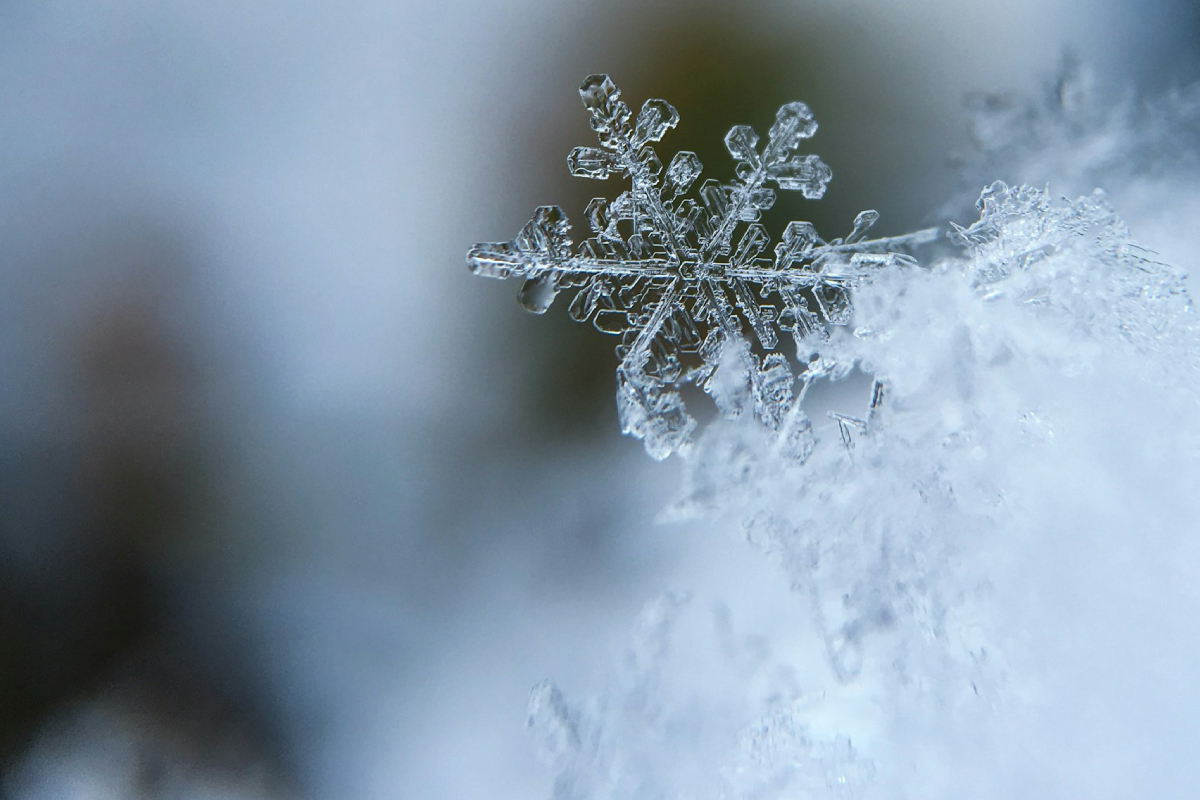 Prospectus - representation of winter